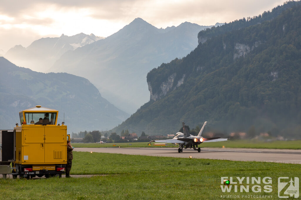 2020  scenery 8759 1 1024x683 - Scenic Switzerland - Tigers and Hornets fighting at Meiringen