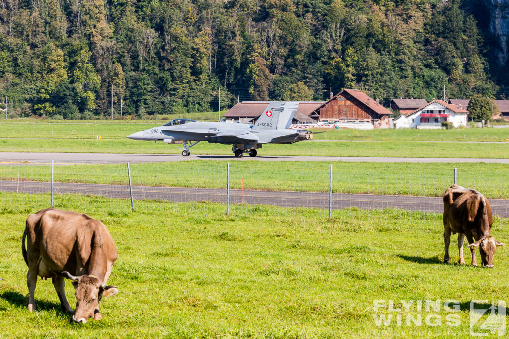 2020  scenery 8809 1 1024x683 - Scenic Switzerland - Tigers and Hornets fighting at Meiringen