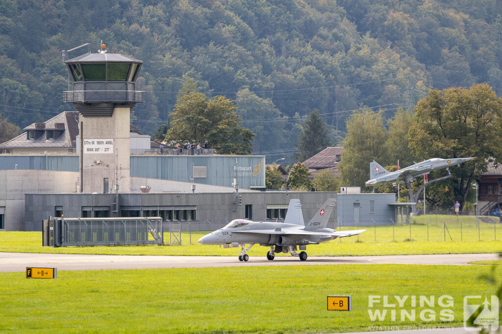2020 meiringen hornet 9405 1 1024x683 - Scenic Switzerland - Tigers and Hornets fighting at Meiringen