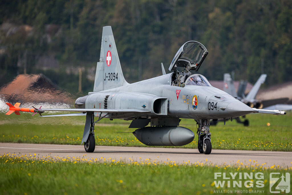 2020 meiringen tiger 8954 1 1024x683 - Scenic Switzerland - Tigers and Hornets fighting at Meiringen